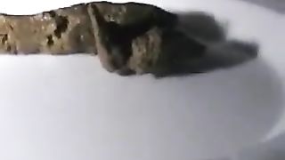 Nice yellow shit from black girl