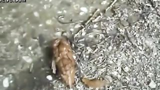 Sexy babe decides to poop outdoor