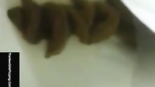 Hairy babe shitting in public bathroom