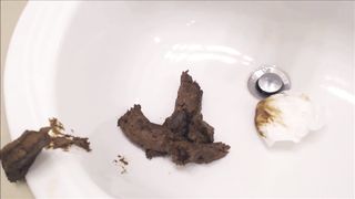 Tattooed blonde shitting in white sink