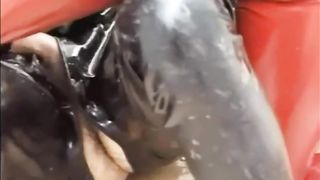 Wearing latex while smearing poop