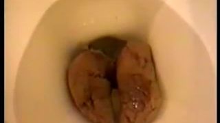 Huge turd dropped in toilet