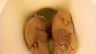 Huge turd dropped in toilet