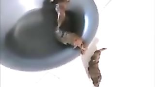 Drinking pee and pooping