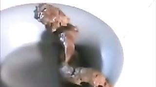 Drinking pee and pooping