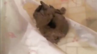 College girl eats her own poop