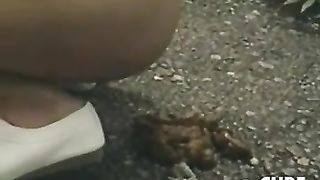 Mix of japanese girls shitting