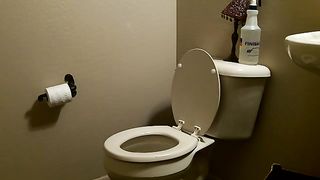 bbw toilet farting and pooping
