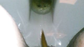 self filmed pissing and pooping on the toilet