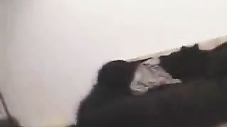 drinking that piss and having a good smile