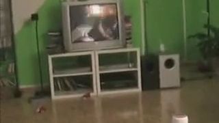 german teen gets hot anal sex during her period