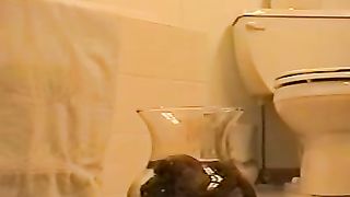 giant turd in vase of water thats some big poop