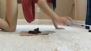 pooping on a book and making lunch