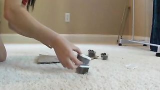 pooping on a book and making lunch