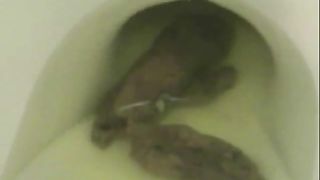 amateur pooping private collection videos