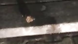 Fat woman poop in car headlights