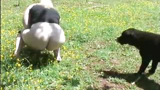 Fat woman shitting in the field