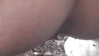 Chick shitting on the railroad