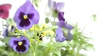 Babe pissing in the flower pot