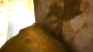 Couple having fun at the back of the car