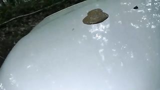 girl taking a shit on the hood of a car