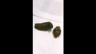 Getting naked to poop