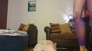 Dark haired babe shits on male slave