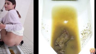 Huge turd dropped in toilet