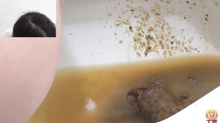 Huge turd dropped in toilet