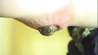 Pushing green turd from shaved ass
