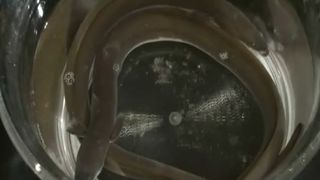 Getting facefucked while pooping