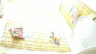 Japanese teen with serious diarrhea