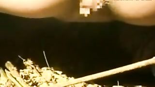 Schoolgirl shitting outdoor