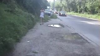 Shitting near highway
