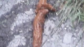 Shitting near highway