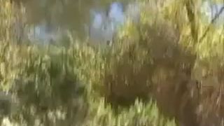 Blonde babe decides to poop outdoor