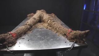 Extreme messy threesome