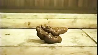 Decides to poop in sauna