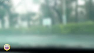 Dark haired teen did a mess in panties