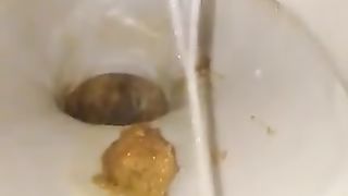 Hairy beauty shits in close up