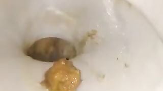 Hairy beauty shits in close up