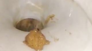 Hairy beauty shits in close up