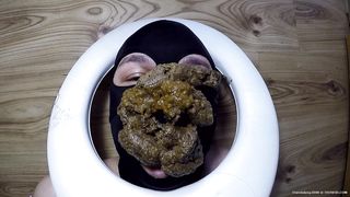 Three girls feed lucky slave