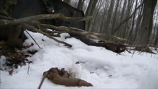 Chubby babe shitting in snow