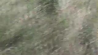 She was caught shitting outdoor