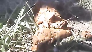 She was caught shitting outdoor