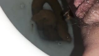 Hairy babe shits in toilet