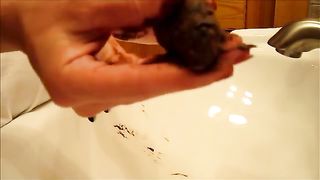 Big turd dropped in white sink