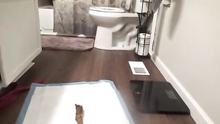 Wow what an amazing tease