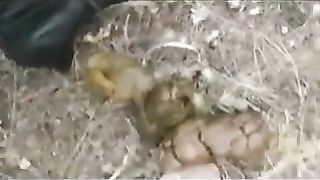 Three girls decide to poop outdoor